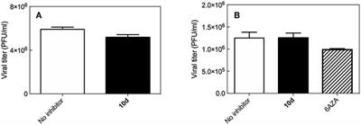 Dichloro-Phenyl-Benzotriazoles: A New Selective Class of Human Respiratory Syncytial Virus Entry Inhibitors